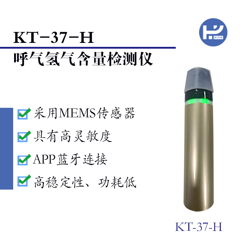 KT-37-H氫氣含量檢測儀